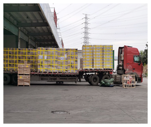 貨運(yùn)公司提供哪些類(lèi)型的運(yùn)輸方式？